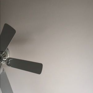 Meet your Posher, Lilly